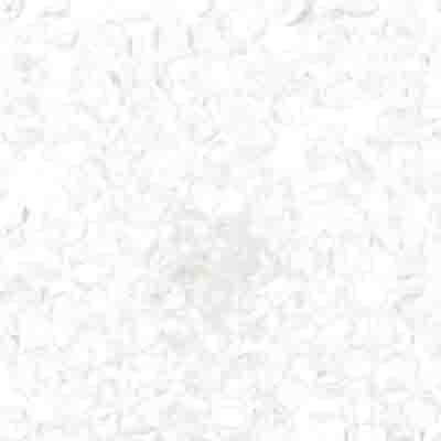 Czech Seed Beads - 8/0 - Crystal (22g)