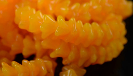 Glass Bead Starbell Flowers - Apricot (25)