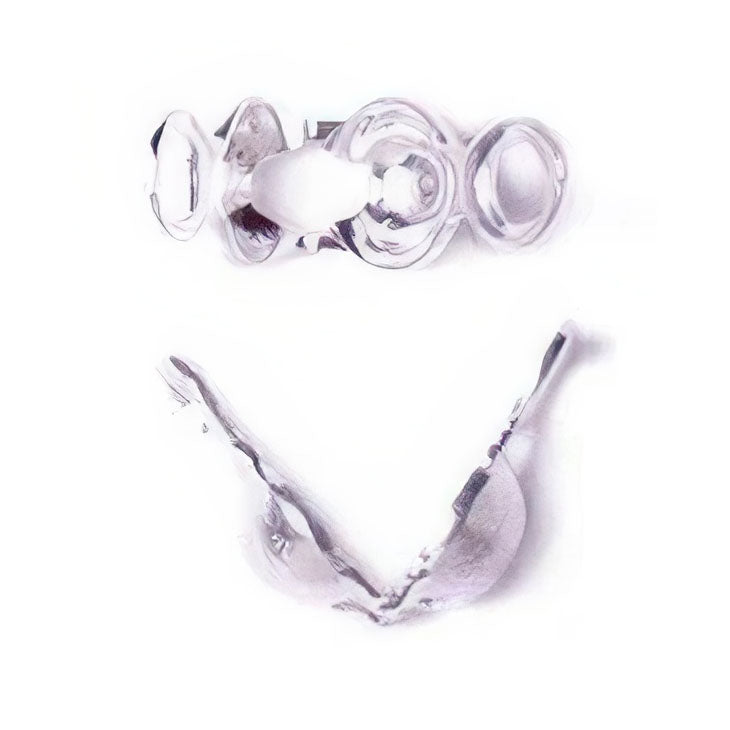 Clamshell Tips - with Closed Ring - Silverplated (20)