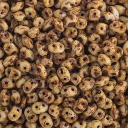 Superduos - Antique Bone Picasso