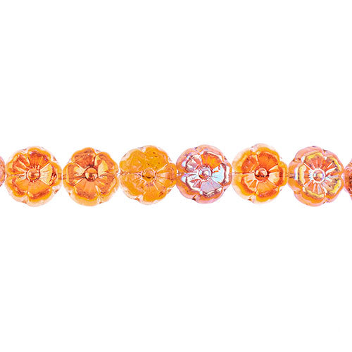 Glass Bead Cinquefoil Flower Bead - 9mm - Orange on Crystal (Strand Apx 22pcs)