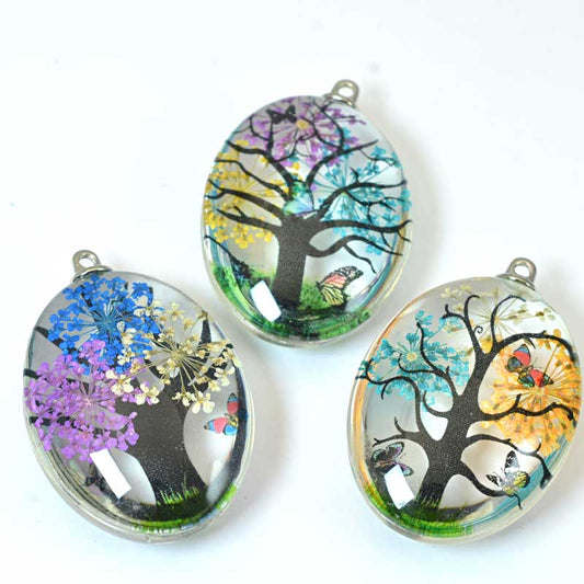 Dried Flower 35mm Oval Multi-Colour each