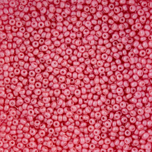 Czech Seed Beads - 10/0 - Shiny Pink (22g)