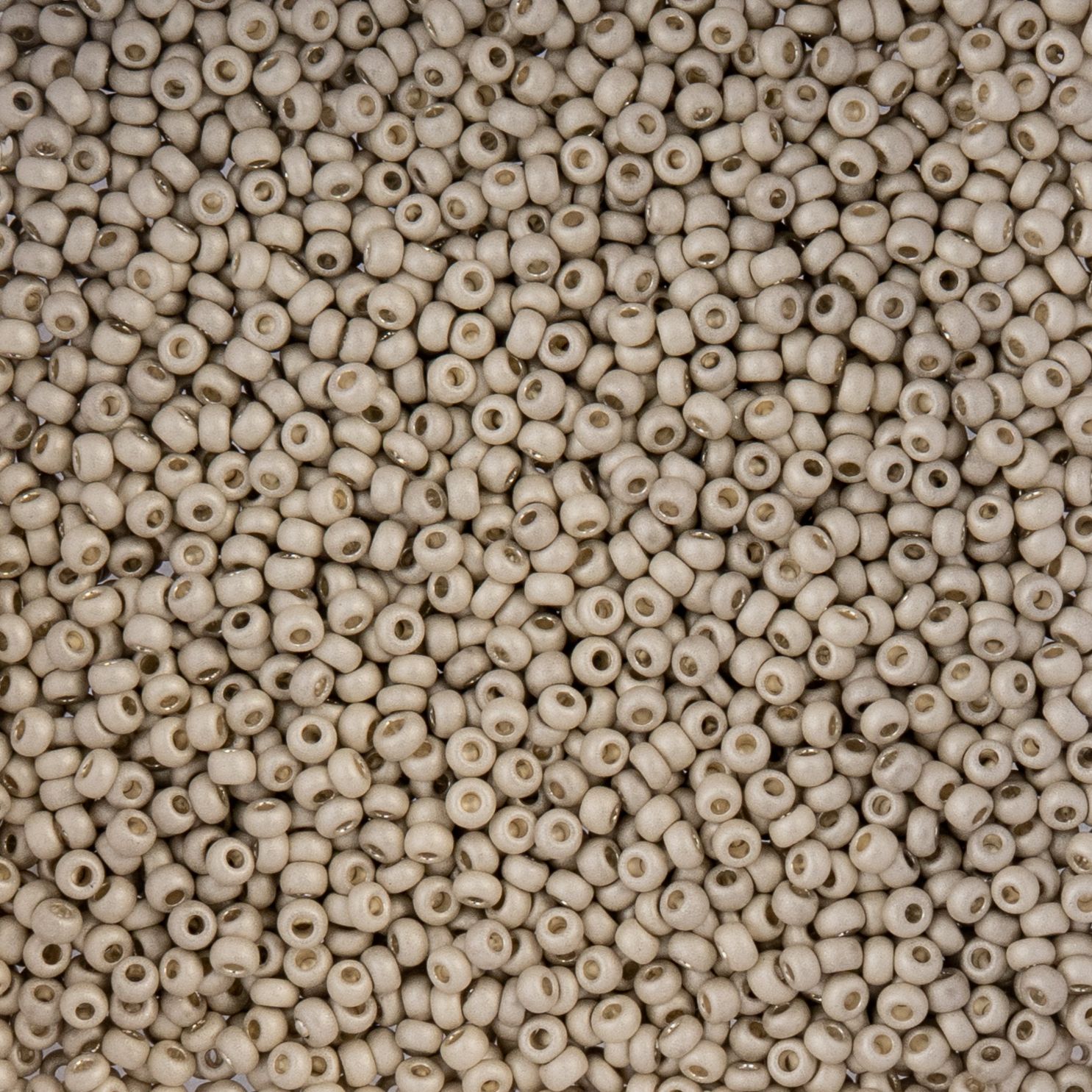 Czech Seed Beads - 10/0 - Metallic Silver Matte Terra Color (22g)
