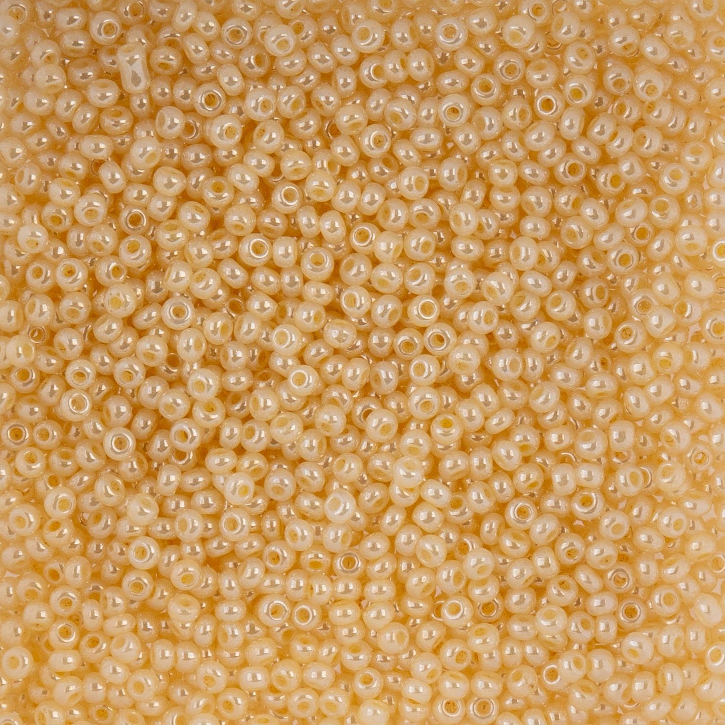 Czech Seed Beads - 10/0 - Pearl Ivory (22g)