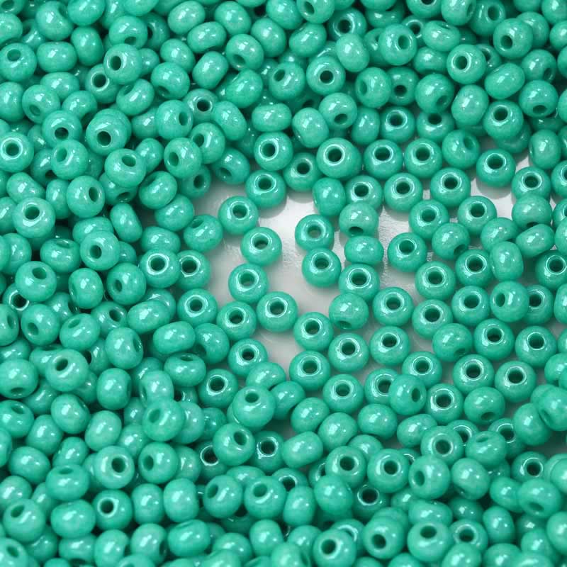 Czech Seed Beads - 6/0 - Opaque Mint Green [Terra] (20g)