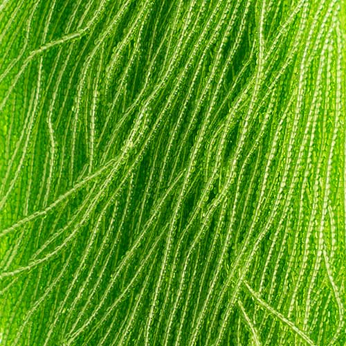 Czech - 13/0 Charlotte - Transparent Light Green (500g Strung)