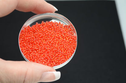 Miyuki Seed Beads 11/0 - mb11-0010 - Silver Lined Flame Red 22g