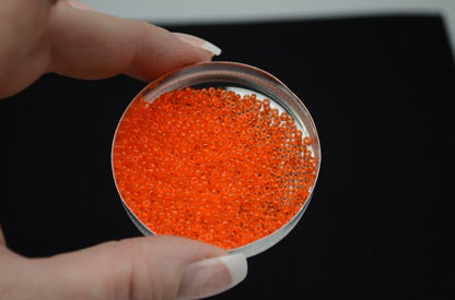 Miyuki Seed Beads 11/0 - mb11-0138 - Transparent Orange 10g