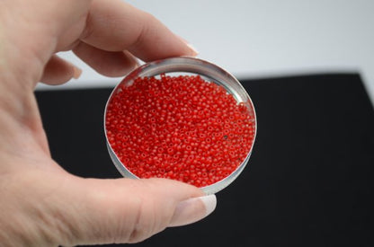 Miyuki Seed Beads 11/0 - mb11-0141F - Matte Transparent Ruby 22g