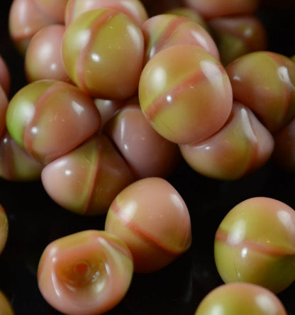 Glass Drops - 9x8mm Mushroom Button Drops - Salmon and Sage (10)