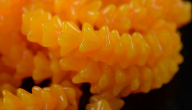 Glass Bead Starbell Flowers - Apricot (25)