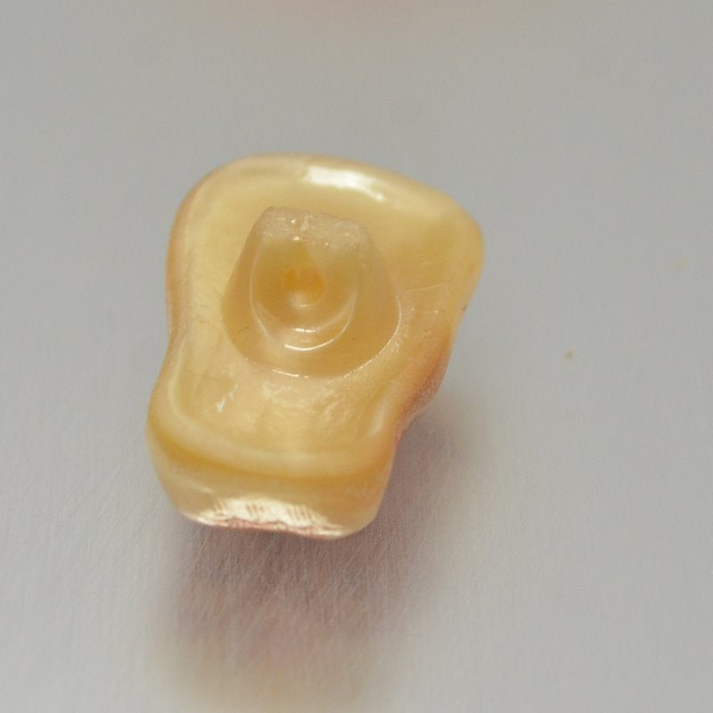 Czech Glass Button - 12mm Startled Owl - Ivory Copper Wash