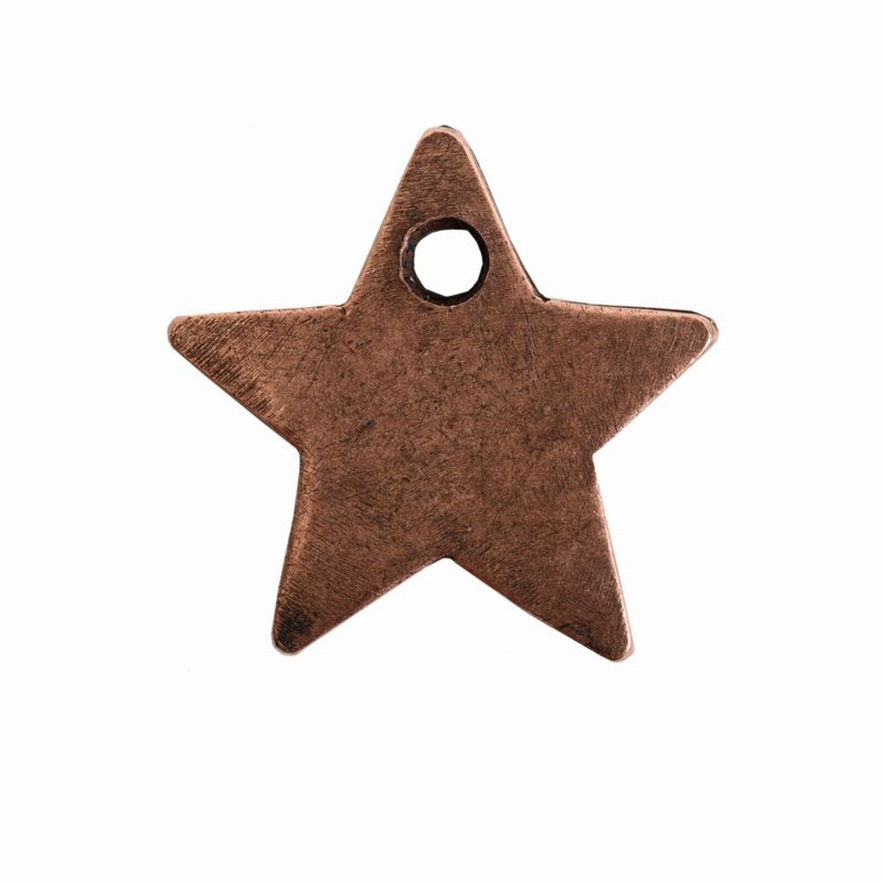 Itsy FlatTag Single Star   AntCopr Each