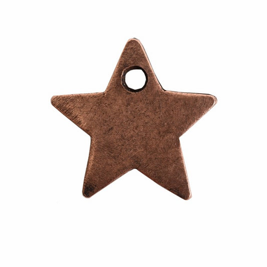 Itsy FlatTag Single Star   AntCopr Each