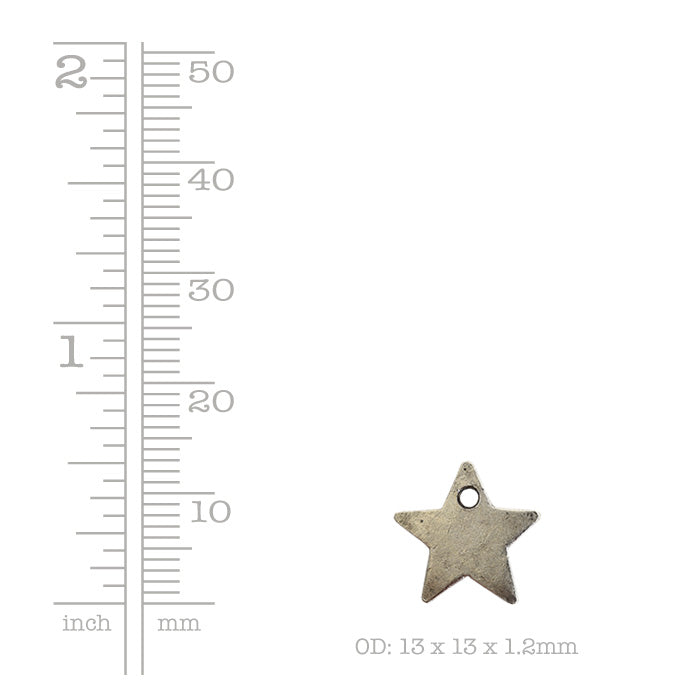 Itsy FlatTag Single Star   AntCopr Each