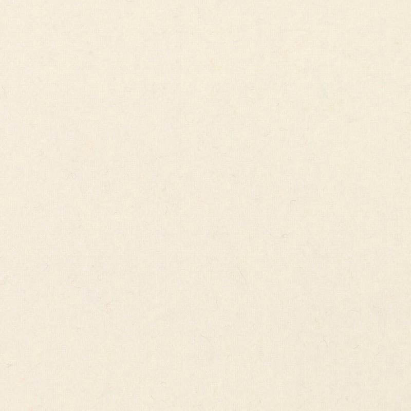Pure Wool Felt (Extra Thick) - 4x6in - Natural White
