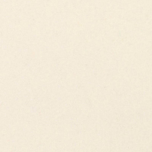 Pure Wool Felt (Extra Thick) - 4x6in - Natural White