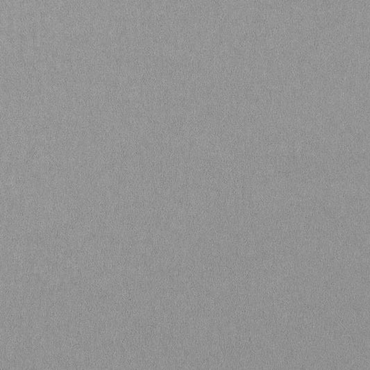 Pure Wool Felt (Extra Thick) - 4x6in - Light Grey