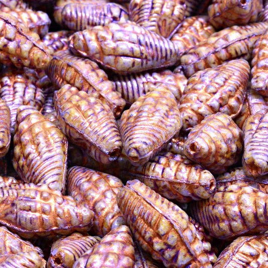 Glass Bead Miter Shell - Bronzed Plum (20)