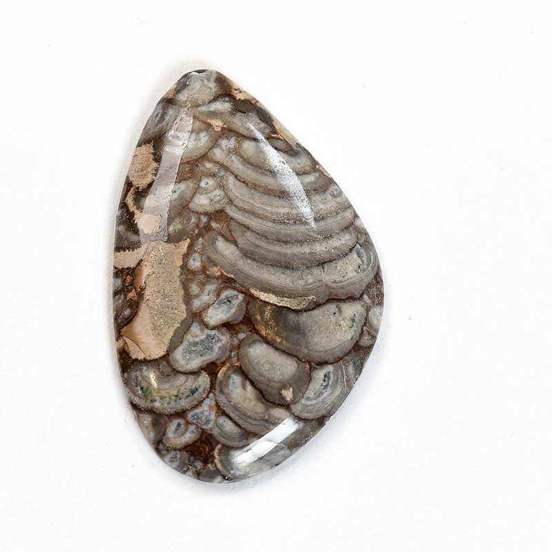 OOAK Cabochon - Mushroom Jasper - Freefom