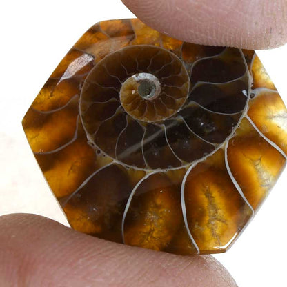 OOAK Cabochon - Ammonite - Hex