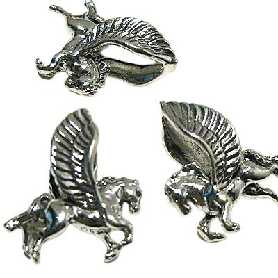 SS Charm   18mm Pegasus Each